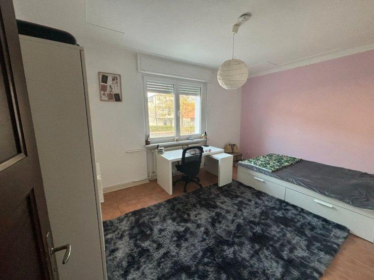 Wohnen auf Zeit Gießen Schlangenzahl - 1 Zimmer, 20 m&sup2;, 460&euro; | Angebot:26455954