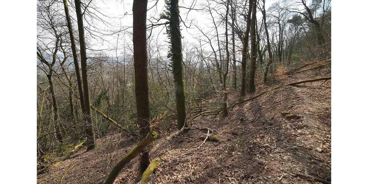 Gewerbeobjekt Trier West-Pallien - 1.400&euro; | Angebot:26252554