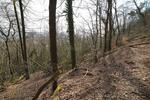 Gewerbeobjekt Trier West-Pallien - 1.400&euro; | Angebot:26252554