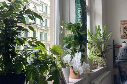 Wohnen auf Zeit Magdeburg Nordwest - 1 Zimmer, 18 m&sup2;, 330&euro; | Angebot:26236890