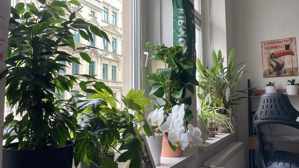 Wohnen auf Zeit Magdeburg Nordwest - 1 Zimmer, 18 m&sup2;, 330&euro; | Angebot:26236890