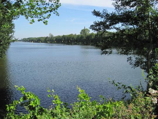 Tolle 2-Zimmer-EG-Wohnung mit Balkon - saniert und renoviert 2 zimmer