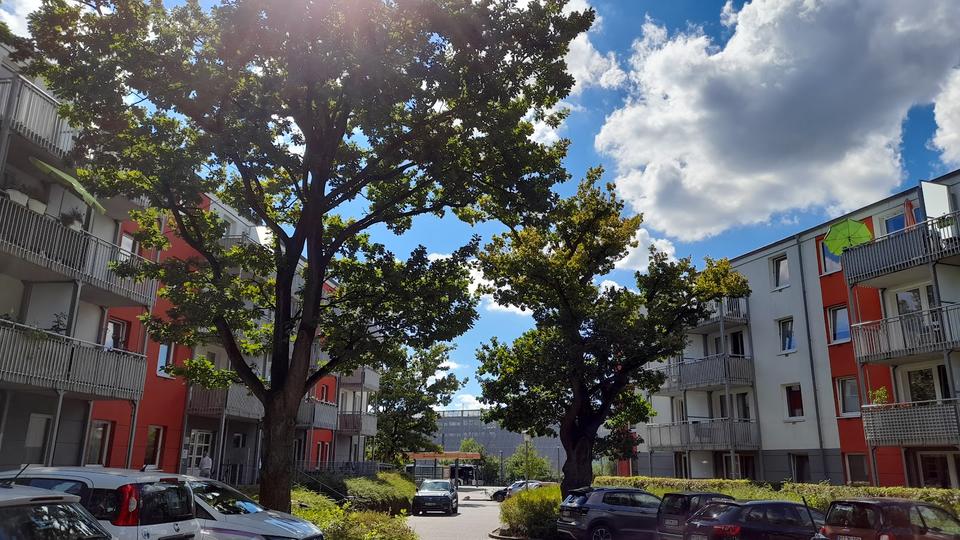 Etagenwohnung Pinneberg - 2 Zimmer, 64 m&sup2;, 763&euro; | Angebot:26493568