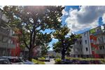 Etagenwohnung Pinneberg - 2 Zimmer, 64 m&sup2;, 763&euro; | Angebot:26493568