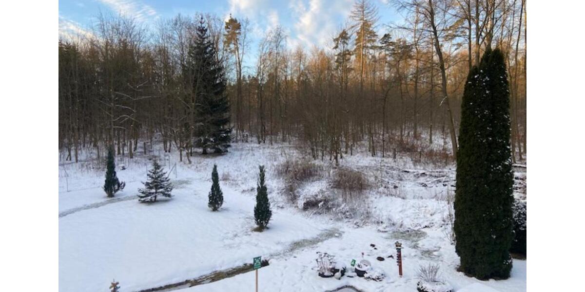 Etagenwohnung Mühlhausen (Thüringen) - 1 Zimmer, 45 m&sup2;, 795&euro; | Angebot:24875452