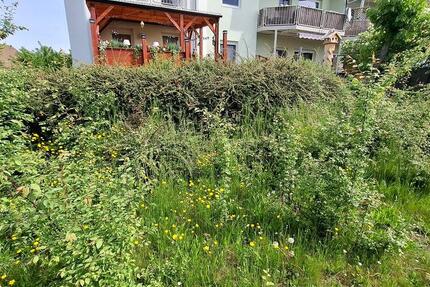 Wohnung Barby - 2 Zimmer, 53 m&sup2;, 340&euro; | Angebot:26531468
