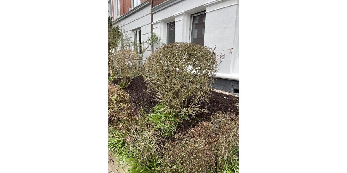 Etagenwohnung Kiel Südfriedhof - 4 Zimmer, 95 m&sup2;, 1.395&euro; | Angebot:25980966