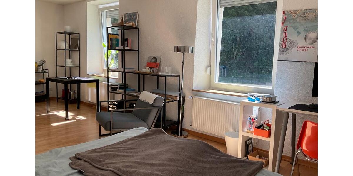 Wohnen auf Zeit Trier West-Pallien - 1 Zimmer, 25 m&sup2;, 460&euro; | Angebot:26516229