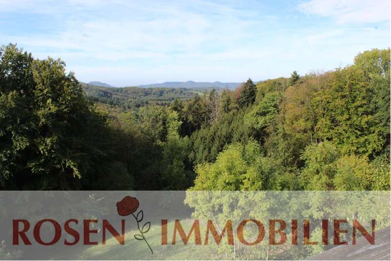 Etagenwohnung Wald-Michelbach Michelbach - 1.5 Zimmer, 40 m&sup2;, 380&euro; | Angebot:27260860