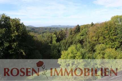 Wohnung Wald-Michelbach Michelbach - 1.5 Zimmer, 40 m&sup2;, 380&euro; | Angebot:27260860