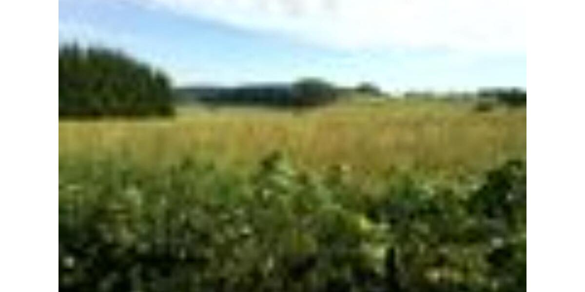 Erdgeschoßwohnung Teterow - 1 Zimmer, 42 m&sup2;, 320&euro; | Angebot:25026454