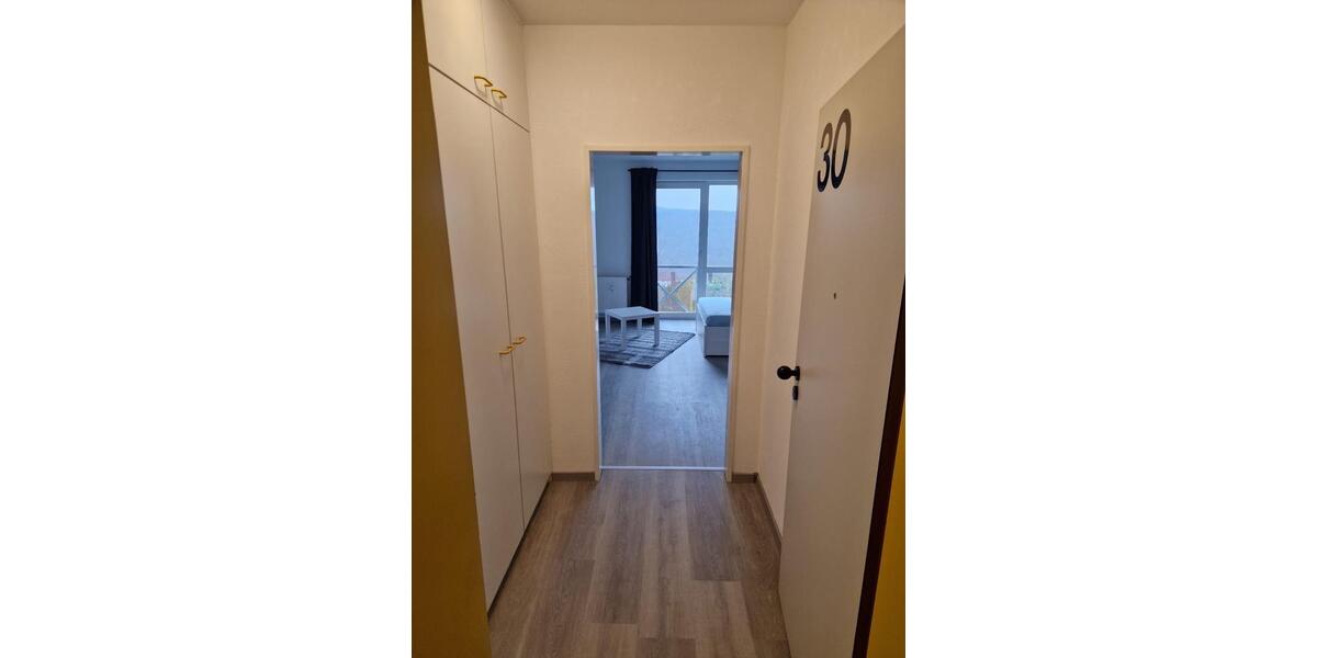 Etagenwohnung Siegen Weidenau - 1 Zimmer, 26 m&sup2;, 450&euro; | Angebot:24869995