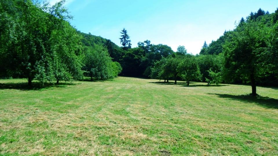 Etagenwohnung Lambrecht (Pfalz) - 1 Zimmer, 10 m&sup2;, 315&euro; | Angebot:24677646