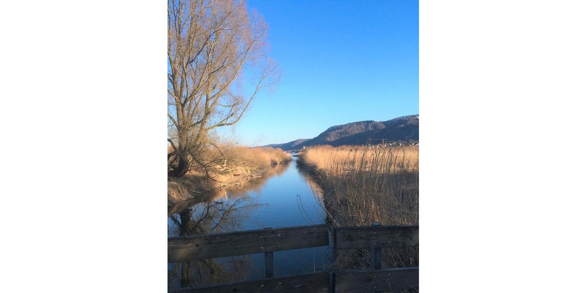 Etagenwohnung Bodman-Ludwigshafen Ludwigshafen - 3 Zimmer, 58 m&sup2;, 1.150&euro; | Angebot:25413144