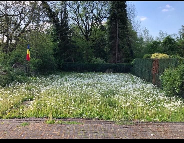 Haus Mehr-Generationen WG möglich 7 zimmer