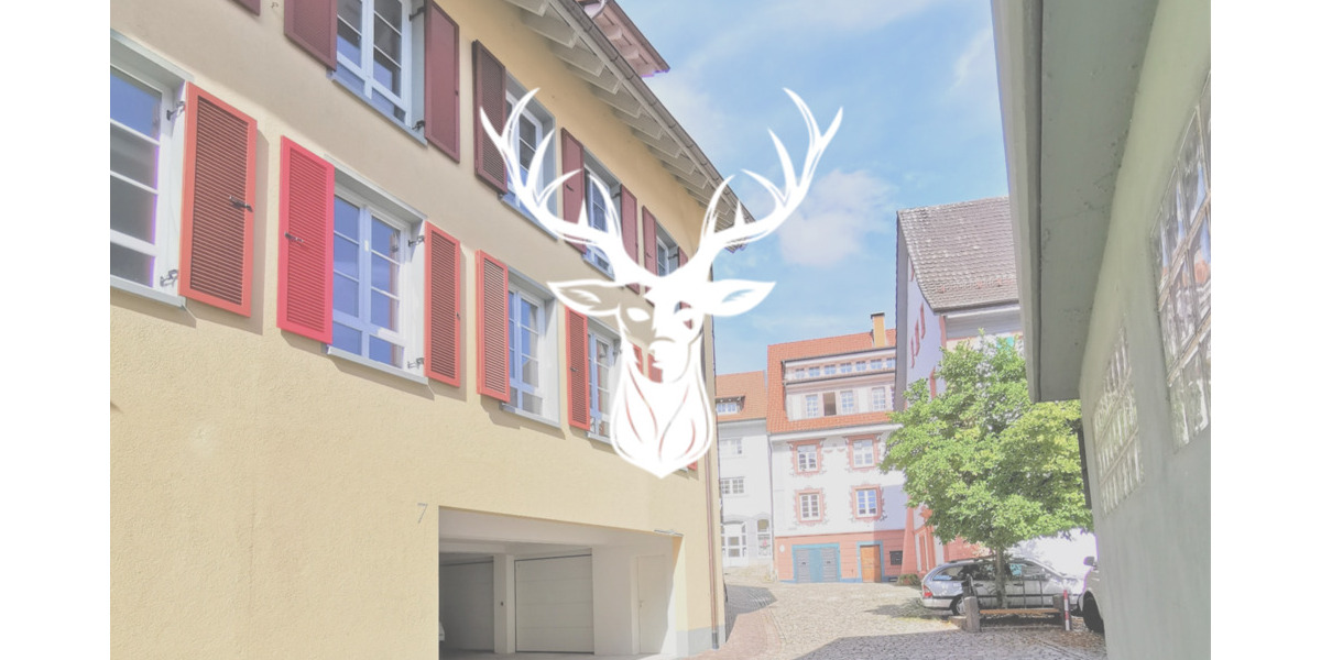 Barrierefreie, moderne 3-Zimmer-Wohnung mit Garagenstellplatz in Tiengen zu vermieten 3 zimmer