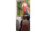 Etagenwohnung München Hadern - 2 Zimmer, 55 m&sup2;, 770&euro; | Angebot:24570124