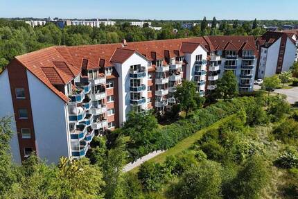 Lichtdurchflutete 1 Raum Wohnung in Viermorgen 1 zimmer