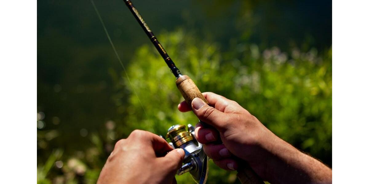 Einfamilienhaus Naunhof - 2 Zimmer, 40 m&sup2;, 725&euro; | Angebot:25988741