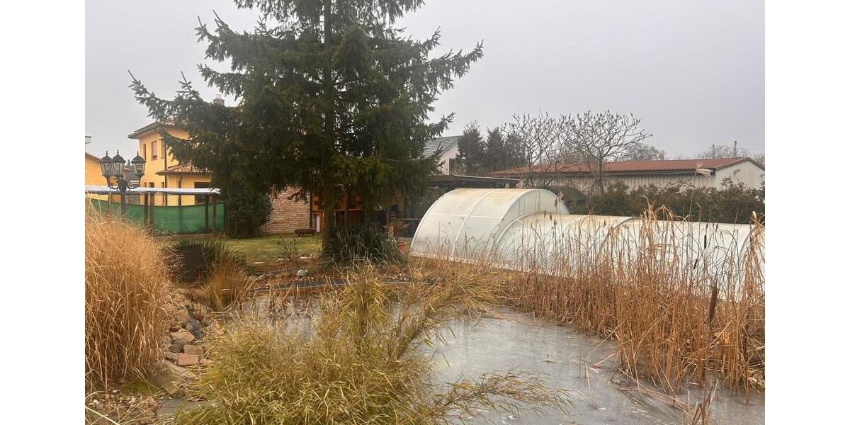 Einfamilienhaus Biederitz - 5 Zimmer, 140 m&sup2;, 1.500&euro; | Angebot:24743664