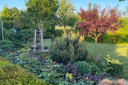 Wunderschöne Wohnung zu vermieten 2 zimmer