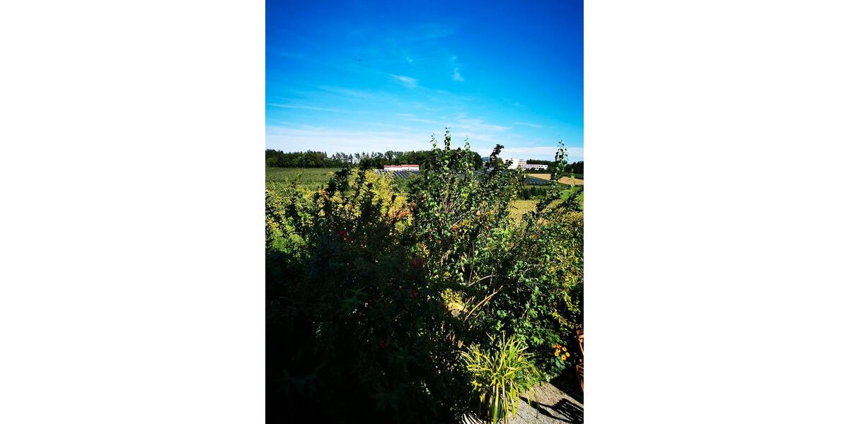 Erdgeschoßwohnung Friedrichshafen Ailingen - 4 Zimmer, 100 m&sup2;, 1.200&euro; | Angebot:24692017