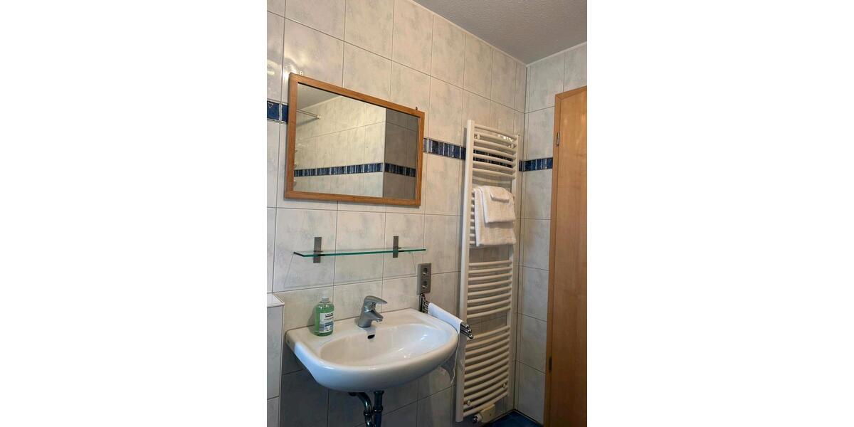 Wohnen auf Zeit Freiburg im Breisgau Munzingen - 1.5 Zimmer, 50 m&sup2;, 950&euro; | Angebot:25843972