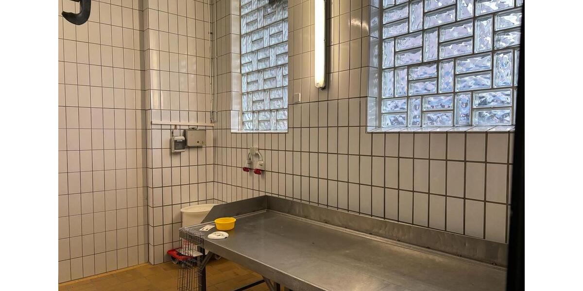 Gewerbeobjekt Deggendorf - 800&euro; | Angebot:25049083