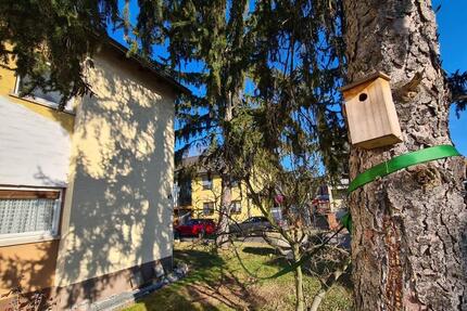 Neugründung Leben in Gemeinschaft 4 zimmer