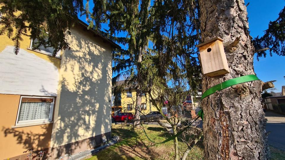 Neugründung Leben in Gemeinschaft 4 zimmer