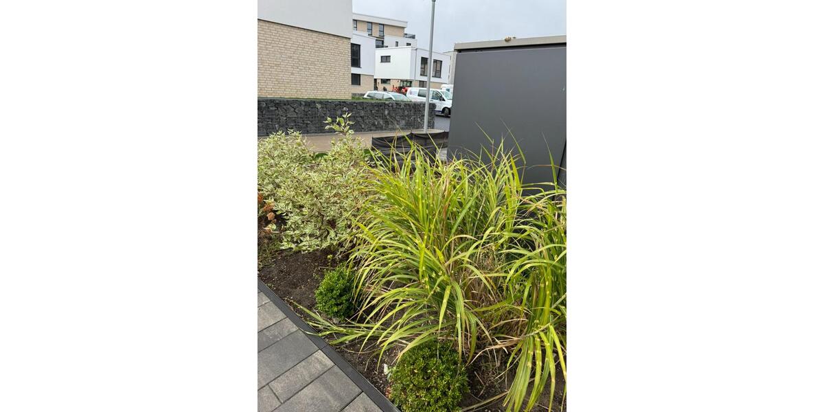 Moderne Stadtvilla aus 2023 im Bauhausstil | 160m² Wohnfl. | 5 Zimmer | Garten mit Blick ins Grüne 5 zimmer