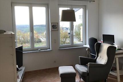 Schöne Einzimmerwohnung auf der Karthause in Koblenz 1 zimmer