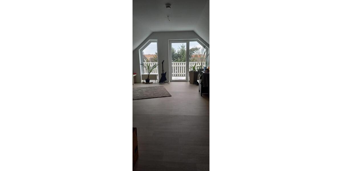 Frisch renovierte 1-Zimmer-Wohnung mit großem Balkon 1 zimmer