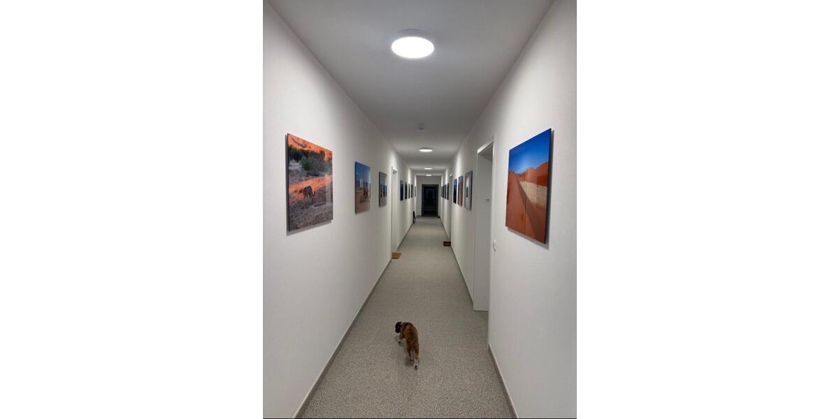 Loft - Studio - Atelier Wetzlar Altenberger Straße - 1 Zimmer, 69 m&sup2;, 850&euro; | Angebot:25218289