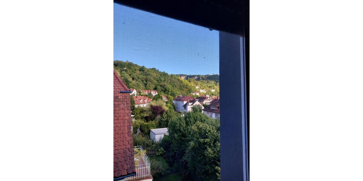 Dachgeschoßwohnung Laudenbach - 2 Zimmer, 63 m&sup2;, 900&euro; | Angebot:24672624