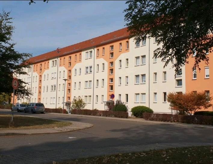 Gemütliche 1-Zimmer-Wohnung in Regis-Breitingen 1 zimmer