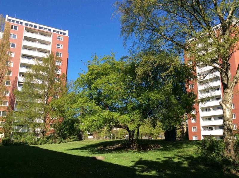 Etagenwohnung Pinneberg - 1 Zimmer, 32 m&sup2;, 380&euro; | Angebot:25356160