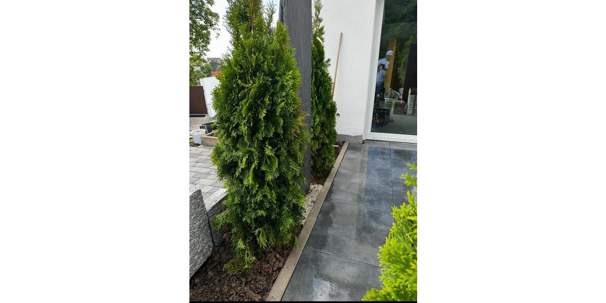 Erdgeschoßwohnung Cleebronn - 3 Zimmer, 116 m&sup2;, 1.300&euro; | Angebot:25985918