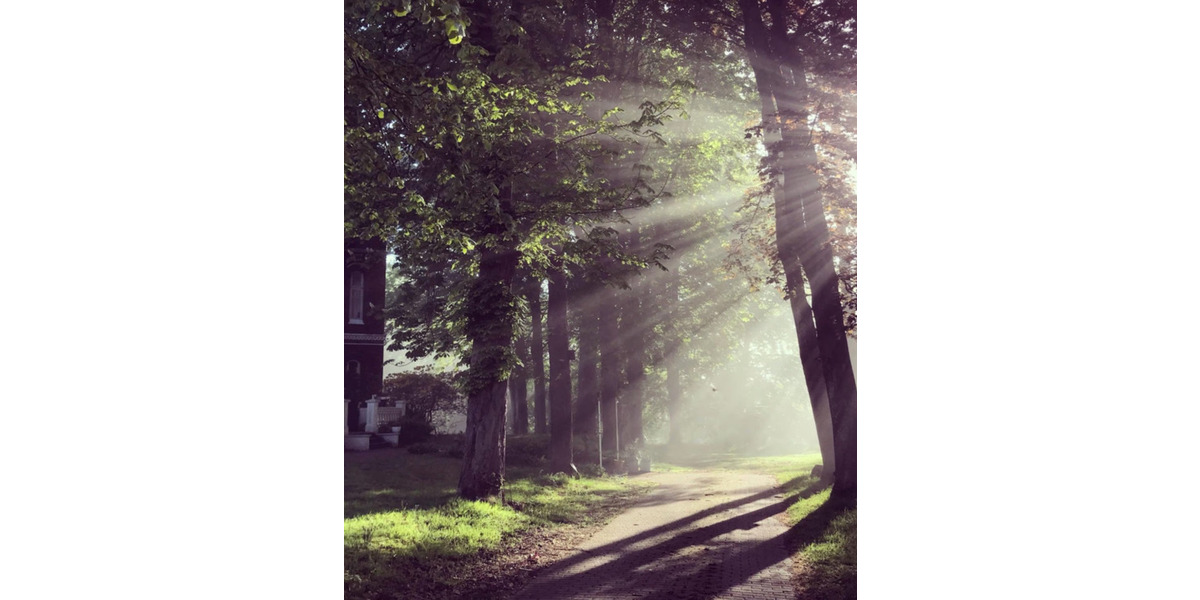 Wohnen auf Zeit Wilster - 1 Zimmer, 20 m&sup2;, 680&euro; | Angebot:22753309