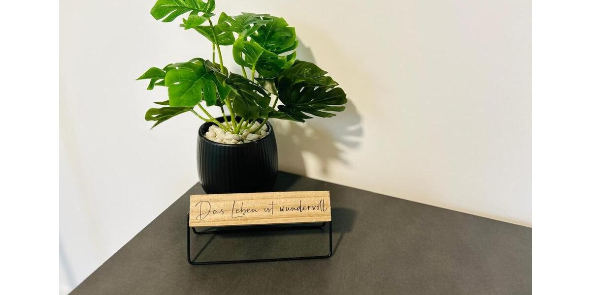 Wohnen auf Zeit Saalfeld (Saale) - 2 Zimmer, 45 m&sup2;, 45&euro; | Angebot:24789473