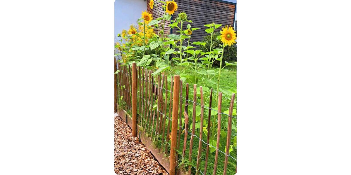 Etagenwohnung Neudrossenfeld - 1.5 Zimmer, 70 m&sup2;, 760&euro; | Angebot:25044898