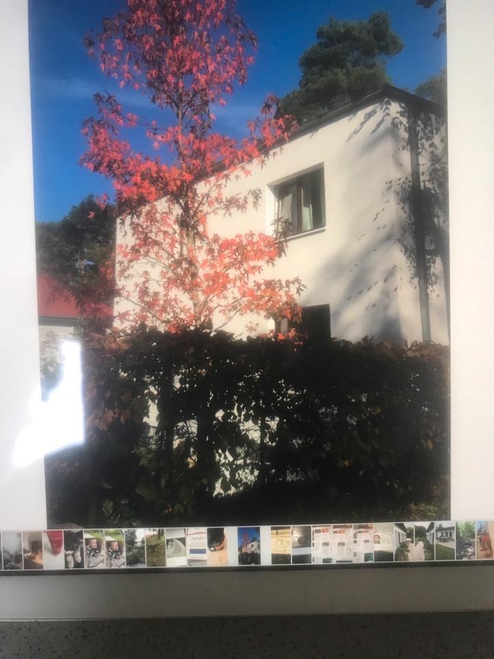 1 Zimmer in 3er Studentinnen-WG in Berlin-Zehlendorf, nur Frauen