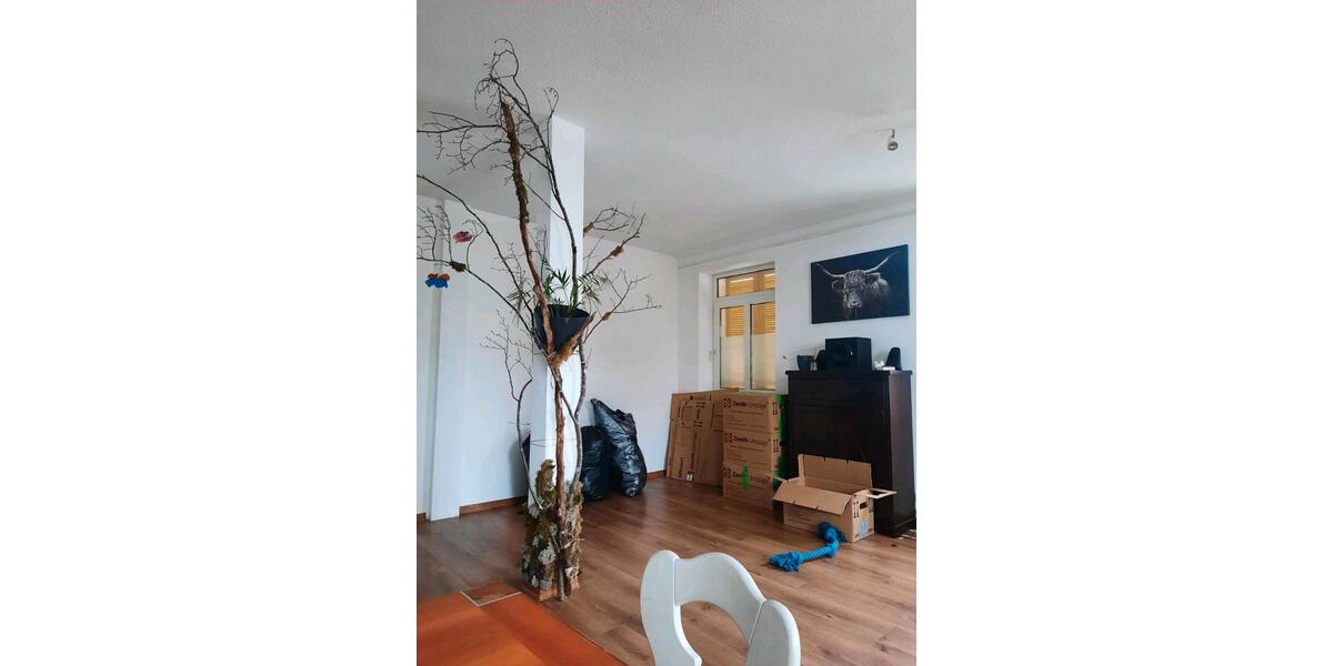 Loft - Studio - Atelier Görwihl - 5 Zimmer, 195 m&sup2;, 1.150&euro; | Angebot:24660060