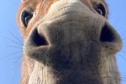 Duisburg Röttgersbach, Wohnung ab 01.03.26 frei! 2 zimmer