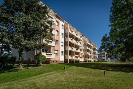 Wohnung Zwenkau - 3 Zimmer, 77 m&sup2;, 480&euro; | Angebot:26562169