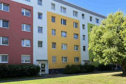 Singlewohnung - frisch saniert! 1 zimmer