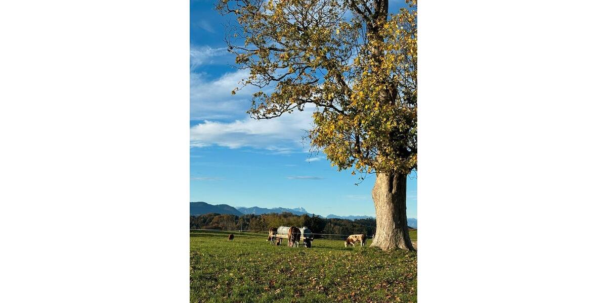 Terrassenwohnung Dietramszell - 3 Zimmer, 114 m&sup2;, 1.100&euro; | Angebot:25239538