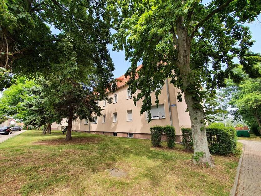 Tageslichtbad mit Badewanne - 4 Zimmer zum Entspannen