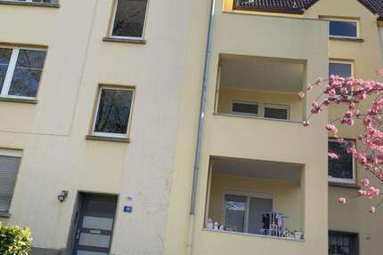 Wohnung zum Mieten in Gelsenkirchen 359 € 59.88 m² 2 zimmer