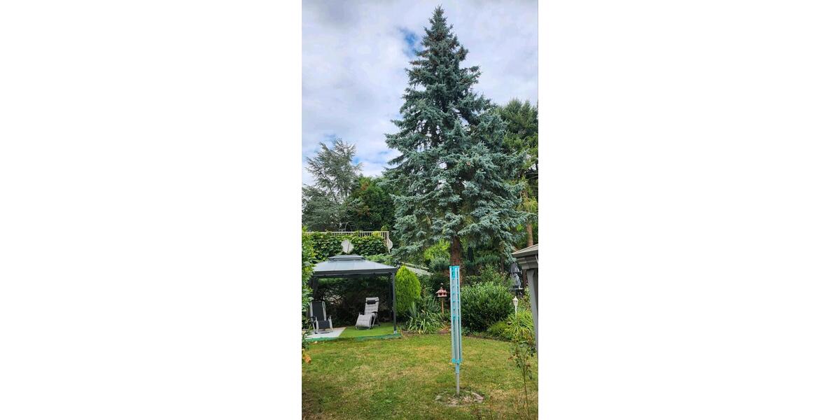 Etagenwohnung Merzig - 2 Zimmer, 100 m&sup2;, 890&euro; | Angebot:24654348